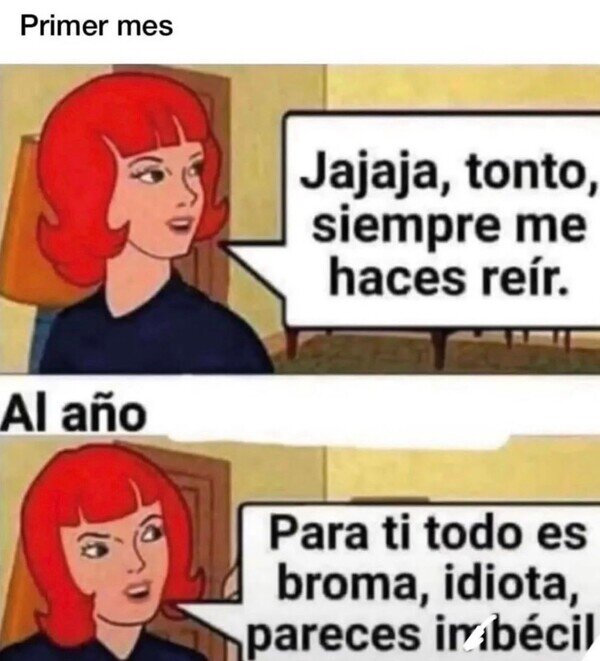 Meme_otros - Evolución del amor del primer mes al año