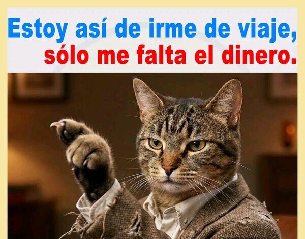 Meme_otros - Estoy así de irme de viaje
