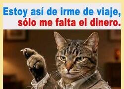 Enlace a Estoy así de irme de viaje