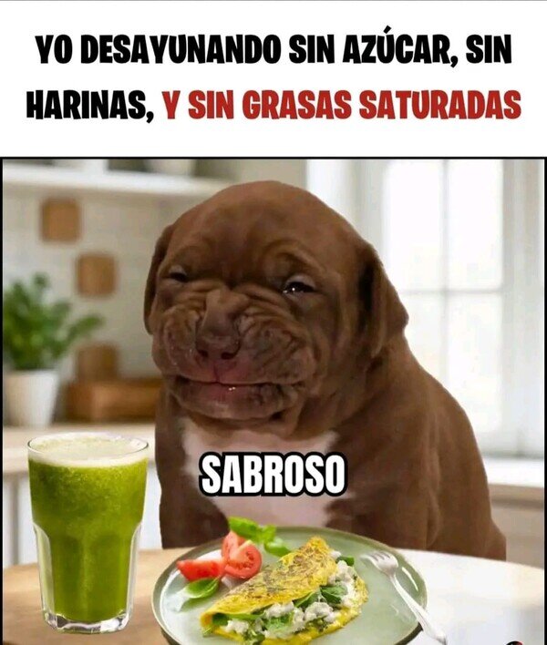 Meme_otros - Ponerse fitness es complicado