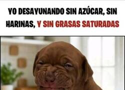 Enlace a Ponerse fitness es complicado