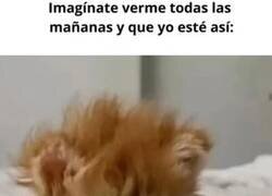 Enlace a Te enamorarás más y más