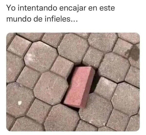 Meme_otros - Demasiado fiel para este mundo