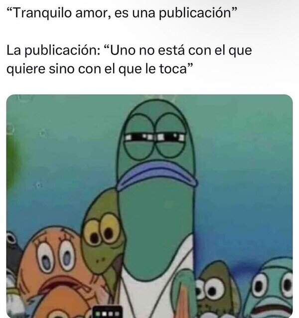 Meme_otros - No lo sé Rick, esa publicación dice cosas