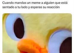 Enlace a Reacción en vivo