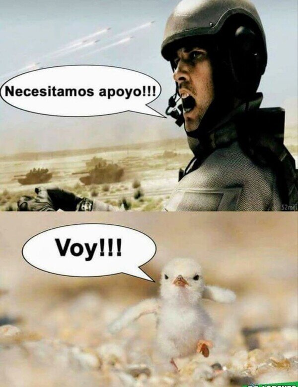 Meme_otros - La relevancia de pollo en la guerra