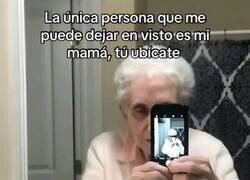 Enlace a A ubicarse los irrespetuosos con sus vistos