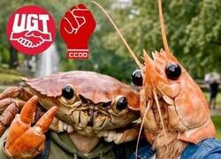 Enlace a Se sienten identificados con el marisco