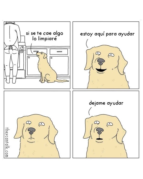 Otros - El Firulais quiere ayudar