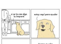 Enlace a El Firulais quiere ayudar