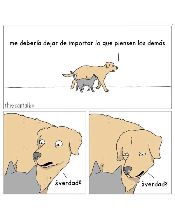 Otros - Dime qué opinas, por favor