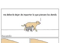 Enlace a Dime qué opinas, por favor