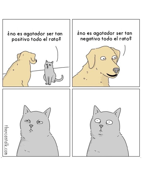 Otros - ¿Es más agotador ser un perro o un gato?