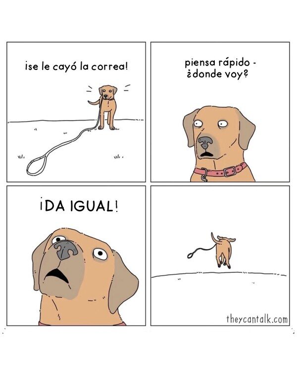 Otros - Perros a la mínima que pueden