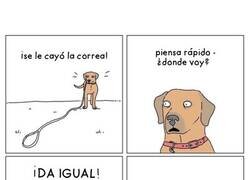 Enlace a Perros a la mínima que pueden