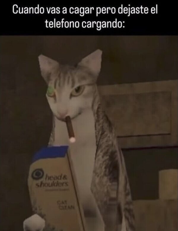 Meme_otros - Toca mirar la composición del champú