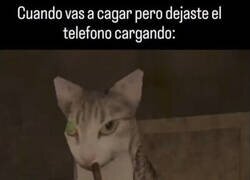 Enlace a Toca mirar la composición del champú