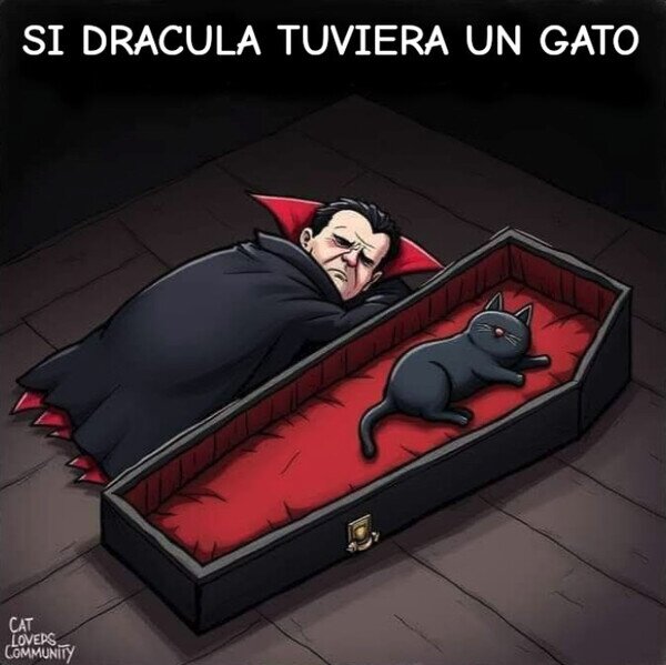 gato,Dr&aacute;cula