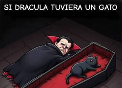 Enlace a Siempre manda el gato