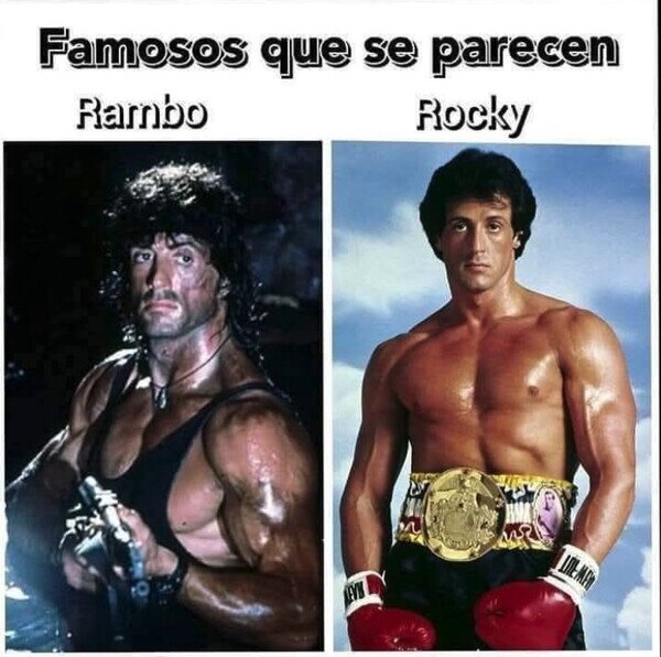 Meme_otros - Y ambos se dan un aire a Silvestre Stallone