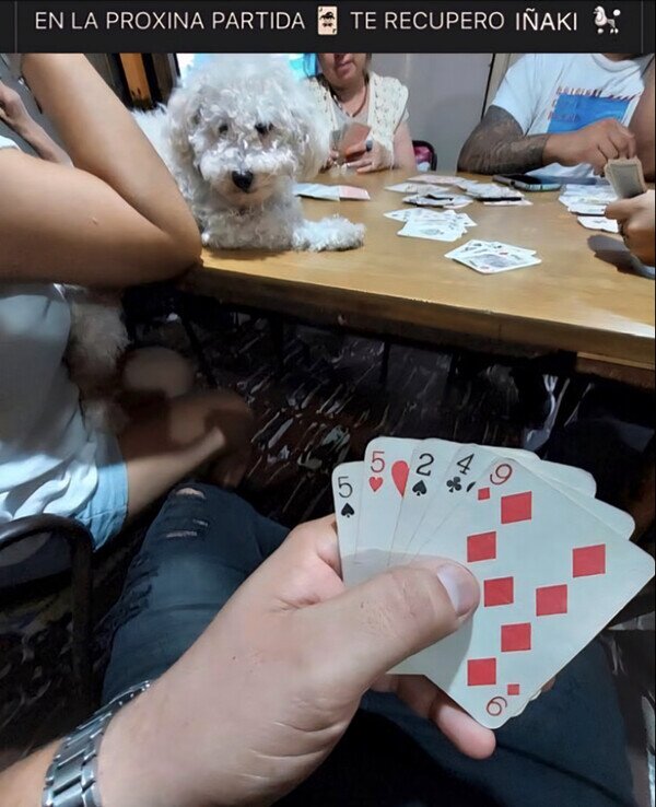 Meme_otros - Esto de apostar se me está yendo de las manos