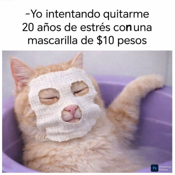 Otros - Al menos lo intenté