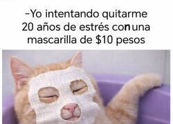 Enlace a Al menos lo intenté