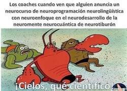 Enlace a Neurotontos