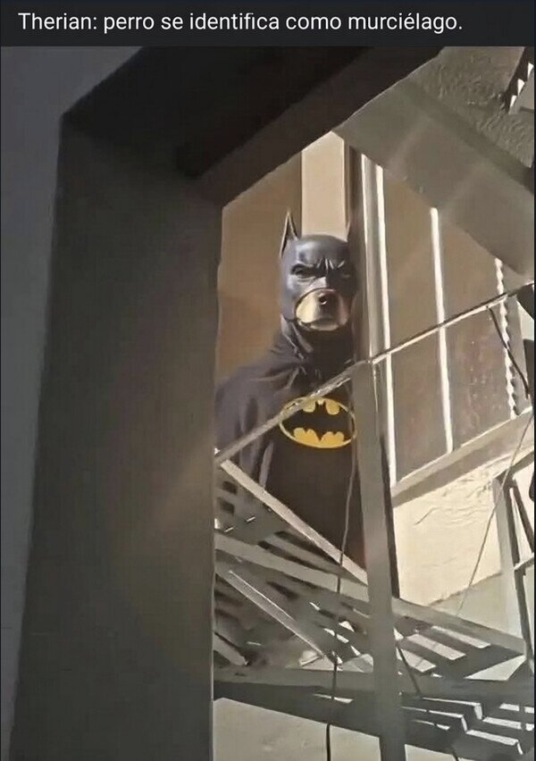 Meme_otros - ¿Cuenta como therian?