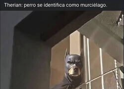 Enlace a ¿Cuenta como therian?