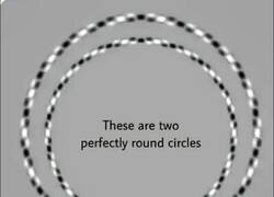 Enlace a Me estoy mareando solo de verlo