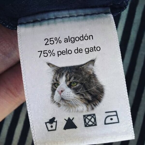 Meme_otros - Tu ropa cuando tienes gato