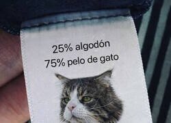 Enlace a Tu ropa cuando tienes gato
