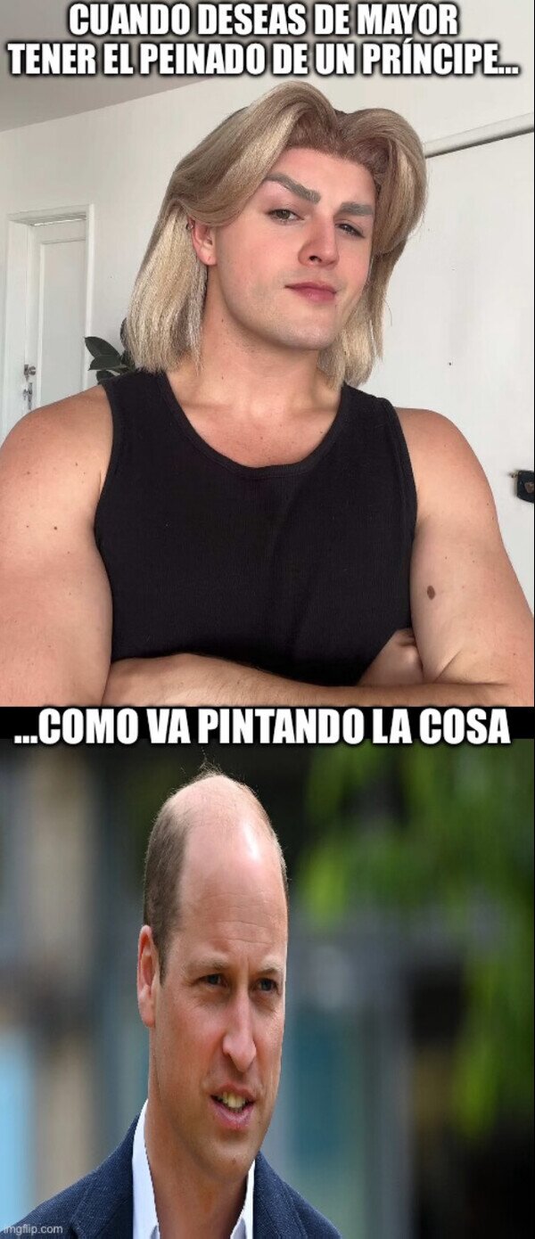 Meme_otros - Peinado de príncipe