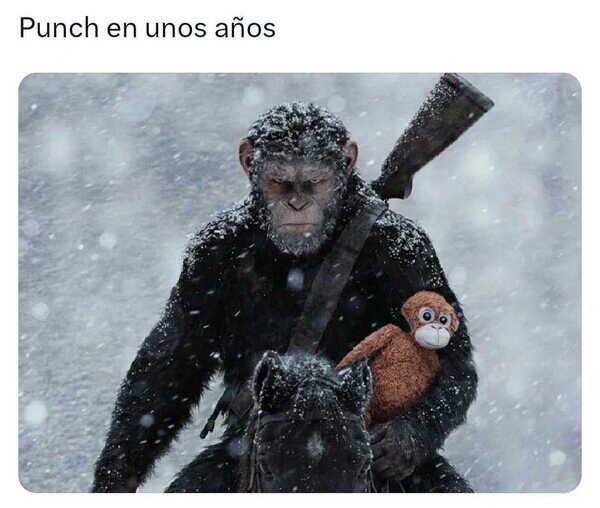 Meme_otros - Punch volverá más fuerte