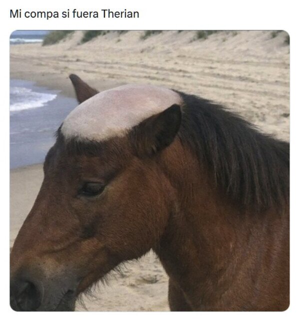 Otros - Lo animal no le salva de lo de calbo