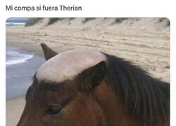 Enlace a Lo animal no le salva de lo de calbo