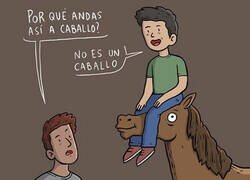 Enlace a No es un caballo