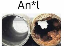 Enlace a Verdad verdadera