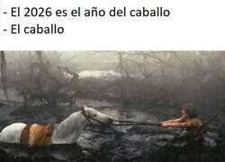 Enlace a El caballo se ha estancado