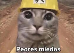 Enlace a No sé qué es peor...