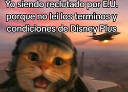 Enlace a Elegí bando sin saberlo