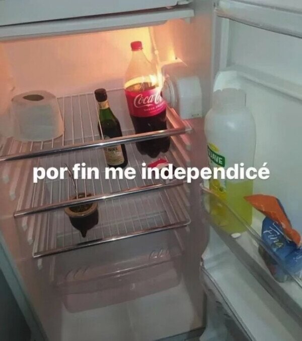 Otros - Mi nevera recién independizado