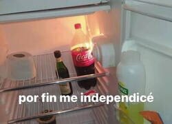 Enlace a Mi nevera recién independizado