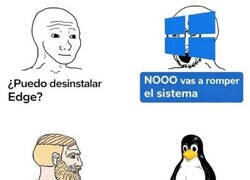 Enlace a Windows vs Linux