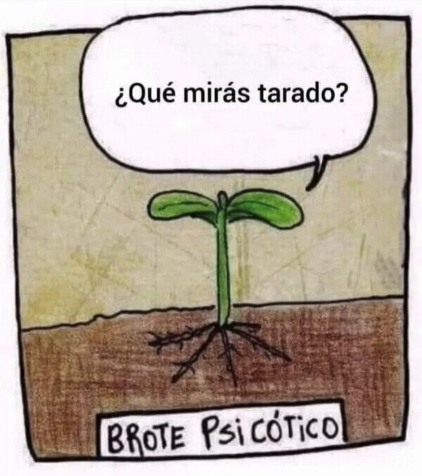 Meme_otros - La tontería del día