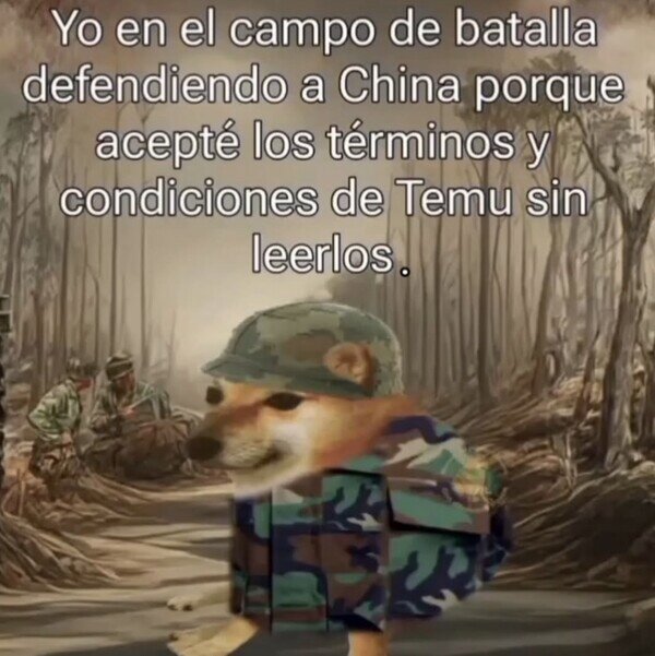 Meme_otros - Maldito seas Temu