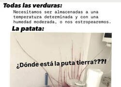 Enlace a La patata se vale por sí misma