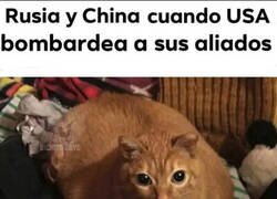 Enlace a Que no vuelva a pasar