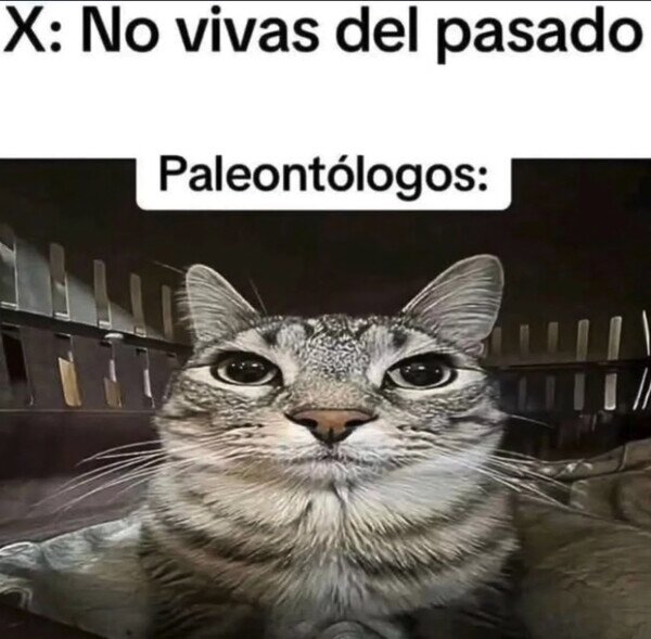 Otros - No viven de otra cosa